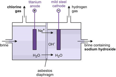 diagram-OSHG